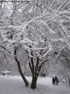 Tempête de neige - New York