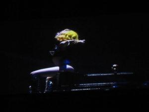 Lady Gaga Paris Bercy - Paris