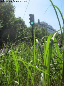 Paris Nature - Paris