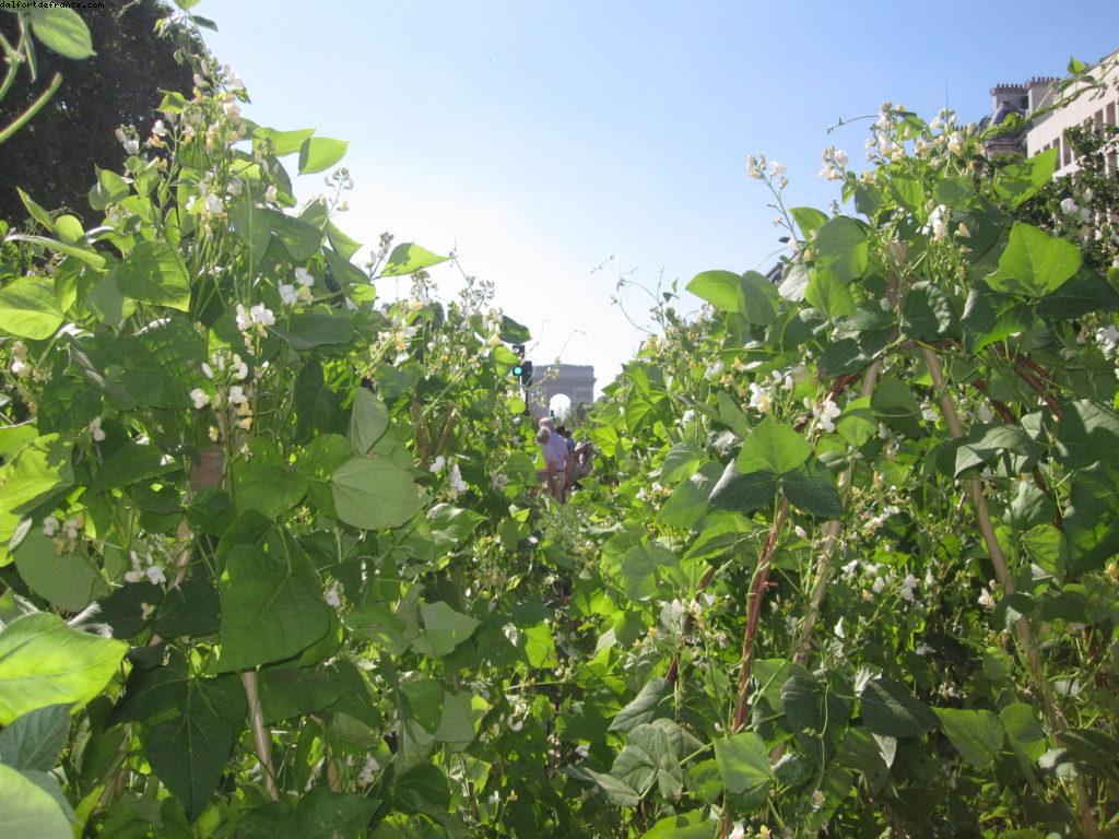 Paris Nature - Paris