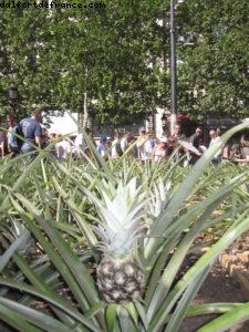 Paris Nature - Paris