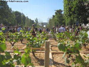 Paris Nature - Paris