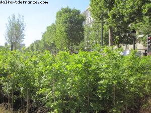 Paris Nature - Paris