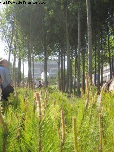 Paris Nature - Paris