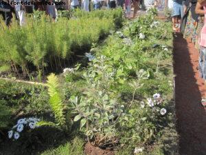 Paris Nature - Paris