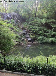 Central Park - New York City