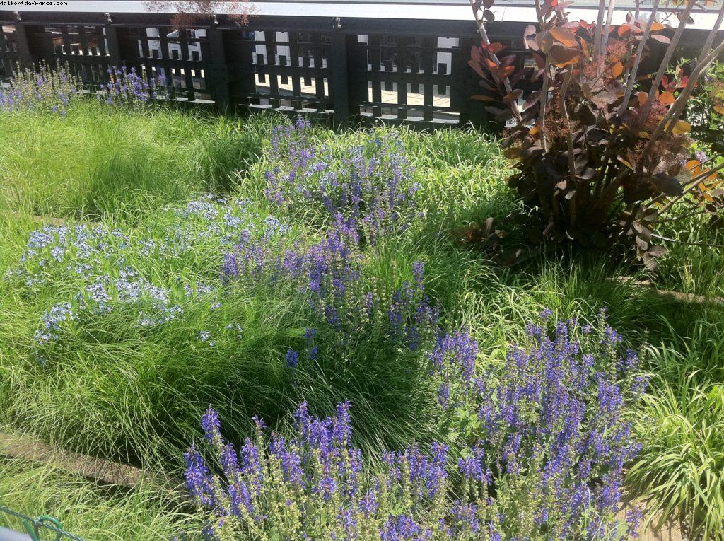 Meatpacking District - High Line Park - New York City