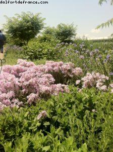 Meatpacking District - High Line Park - New York City