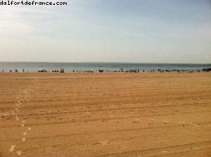 Brighton Beach - New York City