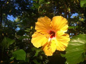 Island of adventures - Universal studio - Orlando