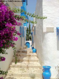 Sidi Bou Said - Tunisie - Notre 8eme croisière RSVP (à bord du Nieuw Amsterdam)