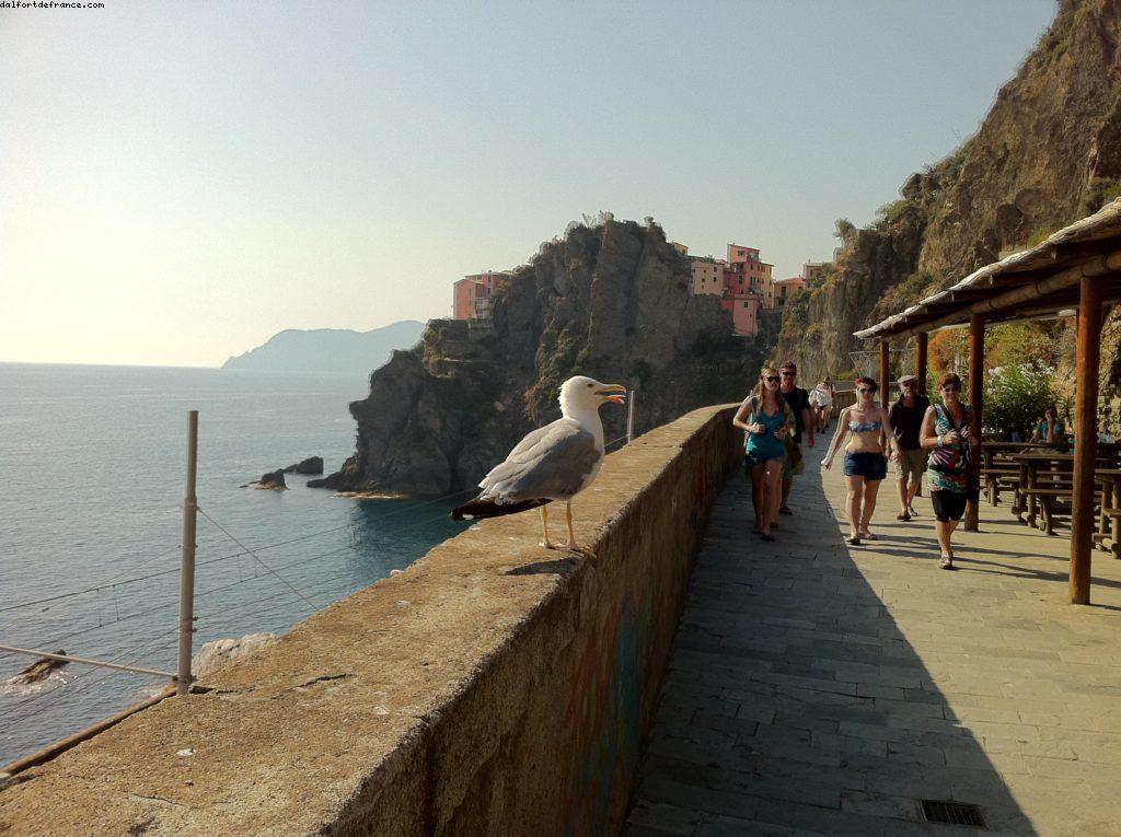 La marche des amoureux entre Manarola et Riomaggiore - Les Cinq Terres - Notre 40eme croisière (à bord du Celebrity Silouhette)
