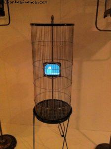 Notre 40eme croisière (à bord du Celebrity Silouhette)