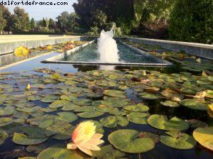 Darius Vignoble - Napa Valley