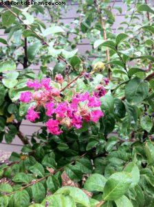 Hôtel Yountville - Napa Valley