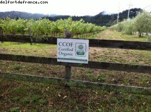 Spottswoode Vignoble - Napa Valley