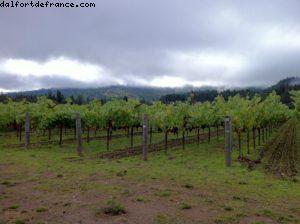 Spottswoode Vignoble - Napa Valley