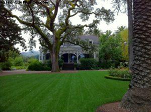 Spottswoode Vignoble - Napa Valley