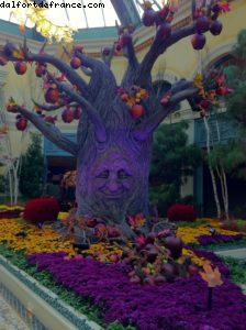 Hôtel Bellagio - Las Vegas 