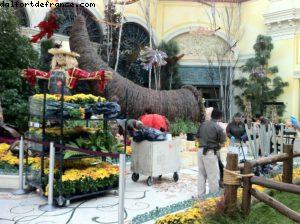 Hôtel Bellagio - Las Vegas 