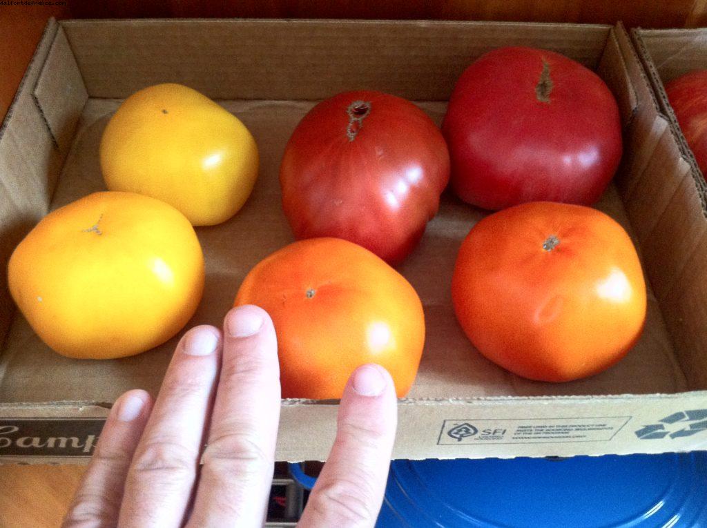 Los Angeles - Notre 41eme croisière Atlantis (à bord de l'Oosterdam)