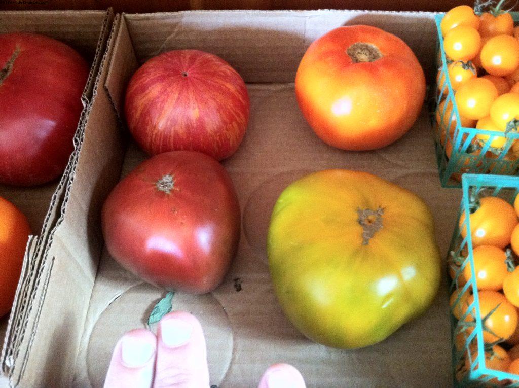 Los Angeles - Notre 41eme croisière Atlantis (à bord de l'Oosterdam)