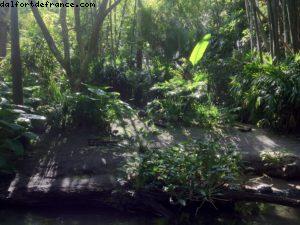 Animal Kingdom - Walt Disney World