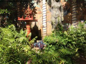 Animal Kingdom - Walt Disney World