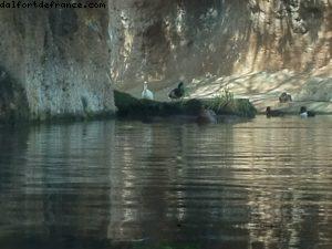 Animal Kingdom - Walt Disney World