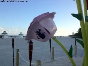 Art Basel - Miami Beach