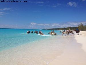 Half moon Cay (île privée) - Notre 9eme croisière RSVP (à bord du Nieuw Amsterdam)