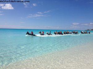 Half moon Cay (île privée) - Notre 9eme croisière RSVP (à bord du Nieuw Amsterdam)