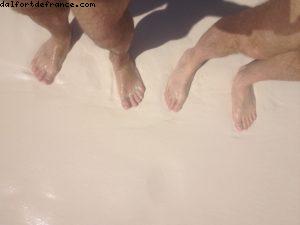 Half moon Cay (île privée) - Notre 9eme croisière RSVP (à bord du Nieuw Amsterdam)