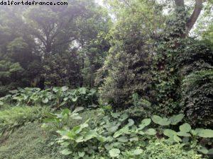 Parc Yuexiu - Canton