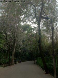 Parc Yuexiu - Canton