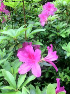 Parc Yuexiu - Canton