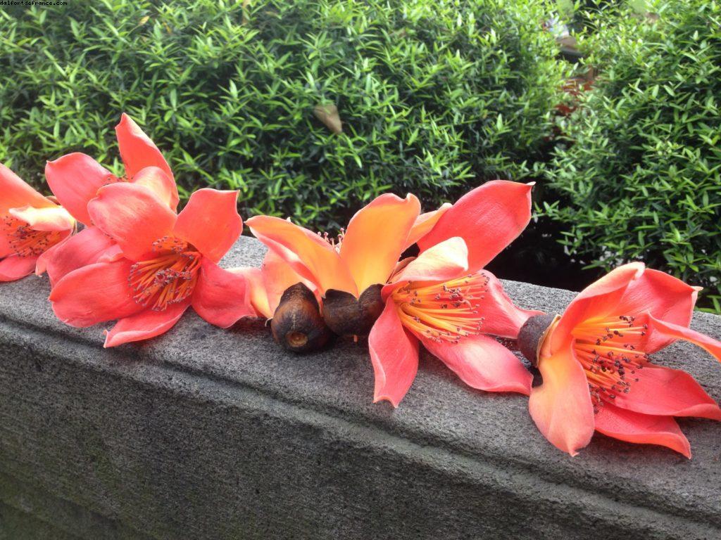 Parc Yuexiu - Canton