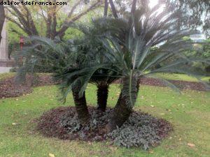 Mémorial de Sun Yat-Sen - Canton