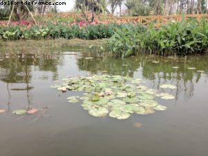 Parc du lac Haizu - Canton