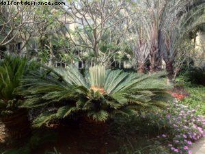 Sheraton Sanya Resort - Sanya - Baie de Yalong - Île de Hainan