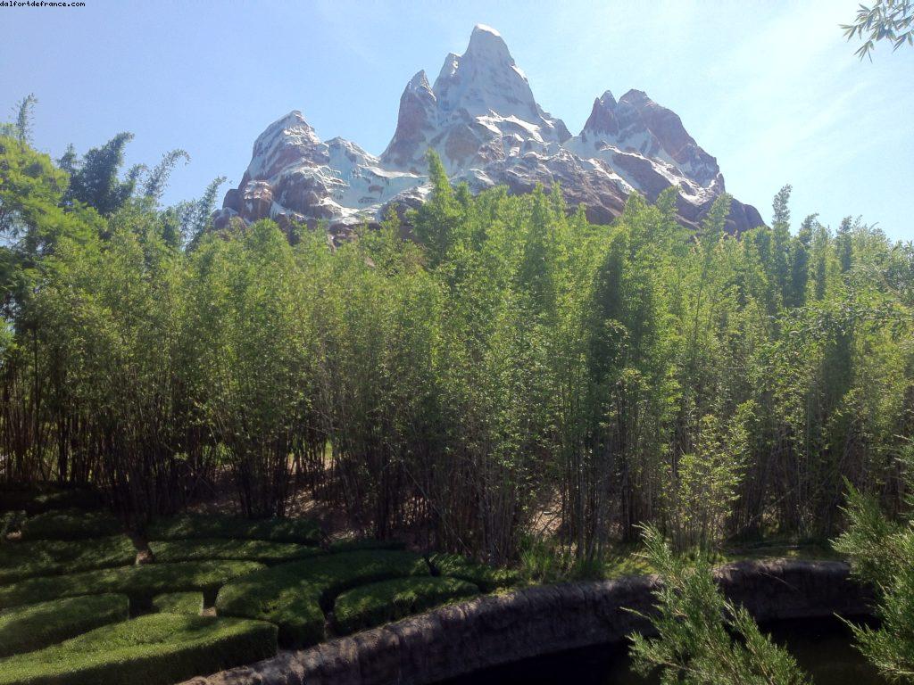 Animal Kingdom - Walt Disney World