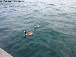 Front de lac - Toronto