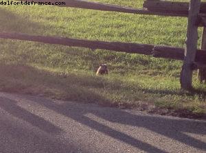 Randonnée au Mont Tremblant