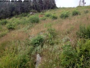 Randonnée au Mont Tremblant
