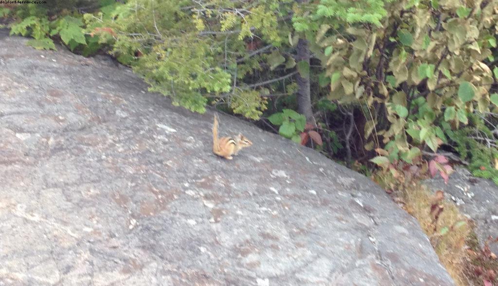 Randonnée au Mont Tremblant