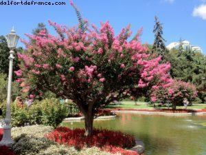 Dolmabahce Palace - Istanbul - Our 43rd Atlantis cruise (Celebrity Equinoxe)