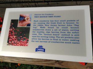 Food and Wine Festival - Epcot - Walt Disney World