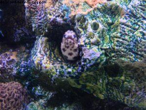 Epcot - Walt Disney World