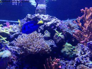 Epcot - Walt Disney World