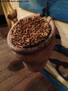 New Fantasyland - Magic Kingdom - Walt Disney World